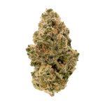 Papaya Breath (Indoor) | Preston Herb Co