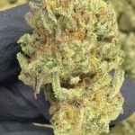 Platinum Gushers - THCA FLOWER - TOP SHELF