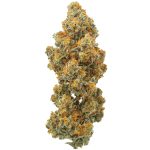 Strawberry Cough : Small Batch