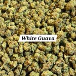 White Guava THCa Hemp Flower Smalls
