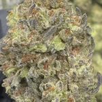 Cookies and Cream - THCA FLOWER - TOP SHELF