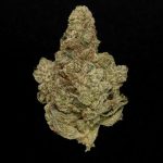 GG4 - 28% THCA Hydro Hemp Flower