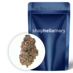 Grape Gas Premium - Shop Hello Mary