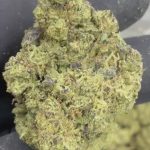 Gush Mintz - THCA FLOWER - EXOTIC INDOOR