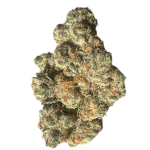 Orange Push Pop (Indoor)