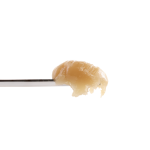 Terple THCa Live Rosin by Puffin Solventless | SimplyMary