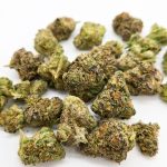 Zerealz Smalls ( Indoor ) Hybrid