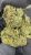 Apple Fritter – THCA FLOWER – CLASSIC RESERVE
