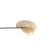 Banana Cane #28 Rosin | SimplyMary