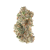Blue Cookies | SimplyMary