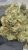 Blueberry Muffin – THCA FLOWER – TOP SHELF