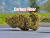 Carbon Fiber THCa Flower