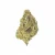 Cheese Quake High THCa Hemp