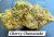 Cherry Cheesecake Living Soil THCa Hemp Flower
