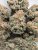 Coco Pebbles (indoor)