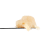 Country Rose Rosin | SimplyMary