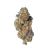 Creamery (Indoor) | Preston Herb Co