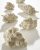 DIAMOND DUSTED MOONROCKS