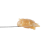Euroz Rosin | SimplyMary