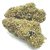 Exotic Hand Trimmed Hemp Flower (1 Lb)