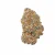 Galaxy High THCa Hemp