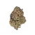 Garlicane High THCa Hemp