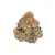 Gary Payton High THCa Hemp