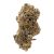 Ghost Squadron (Indoor) | Preston Herb Co
