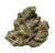 Glitter Glue (Indoor)