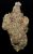 GMO – 26% THCA Small Batch Exotic Hydroponic Hemp Flower