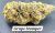 Grape Stomper Living Soil THCa Hemp Flower