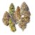 Greenhouse Sampler | Preston Herb Co