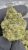 Gush Mintz – THCA FLOWER – EXOTIC INDOOR