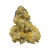 High THCa Ghost Rider (Bulk Options Avl.)