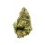 High THCa Grease Monkey – Light Dep