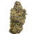 High THCa Purple Push Pop