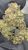 Kush Mintz- THCA FLOWER – CLASSIC RESERVE