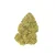 Modified Grapes High THCa Hemp