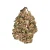 Panama Red High THCa Hemp