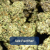 Sex Panther – Indica Strain | Exotic THCa Flower | 41.5% THCa