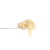 Sour Diesel Rosin | SimplyMary