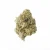 Spoonfull High THCa Hemp