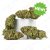 Velox • 23.2% Total Cannabinoids