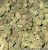 Watermelon OG Indoor